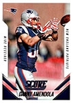 Danny Amendola Football Cards