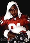 Anquan Boldin Football Cards