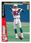 Vincent Brisby Football Cards