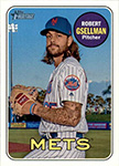 Robert Gsellman Baseball Cards