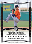 Anthony Molina Baseball Cards