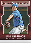 James Norwood Baseball Cards