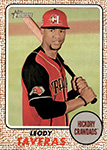 Leody Taveras Baseball Cards